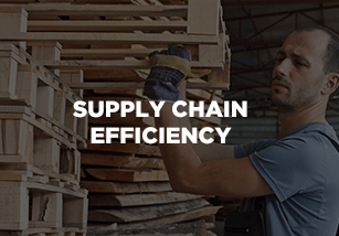 supply_chain_efficiency