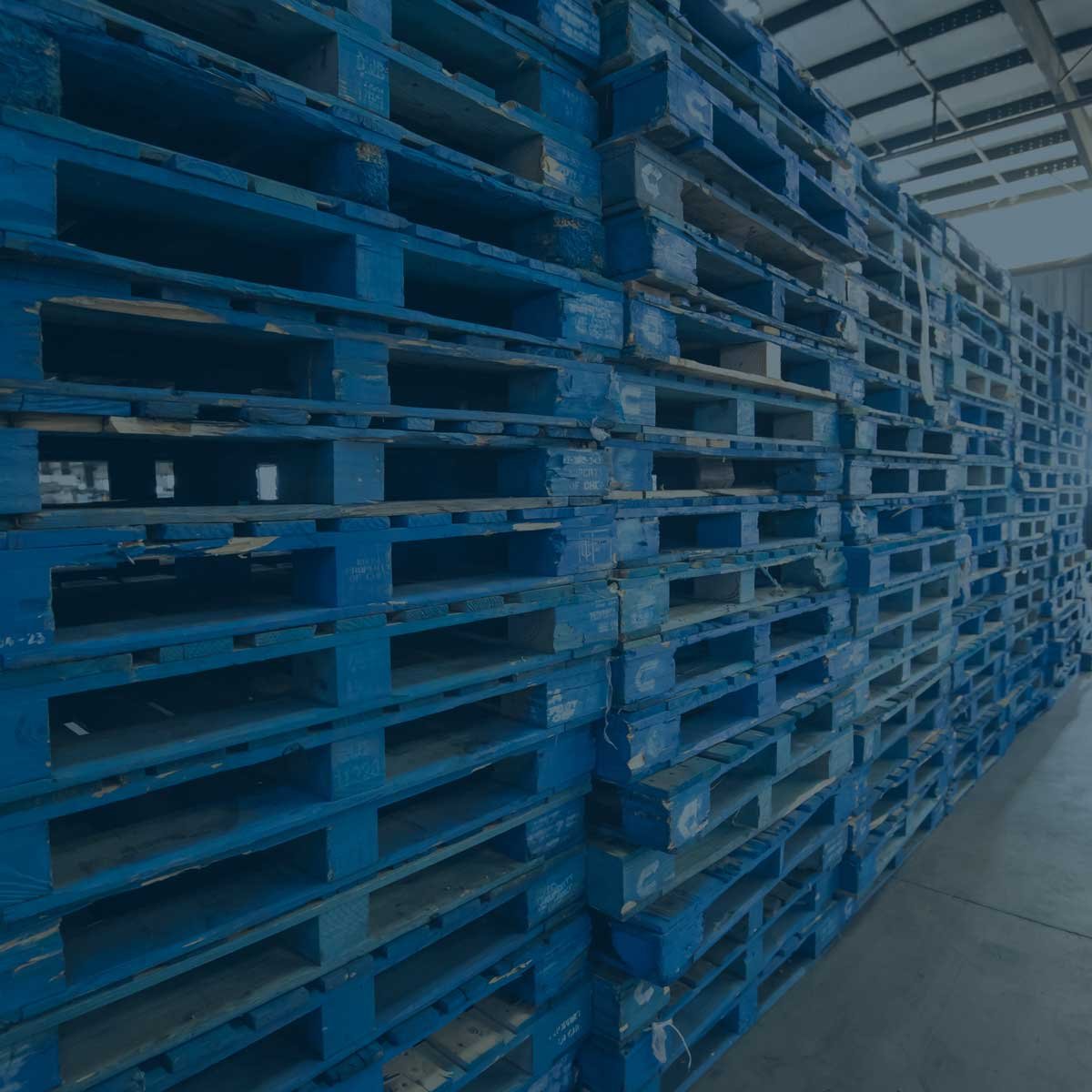 Blue pooled pallets stacked in a warehouse, illustrating efficient pallet management solutions by Relogistics.