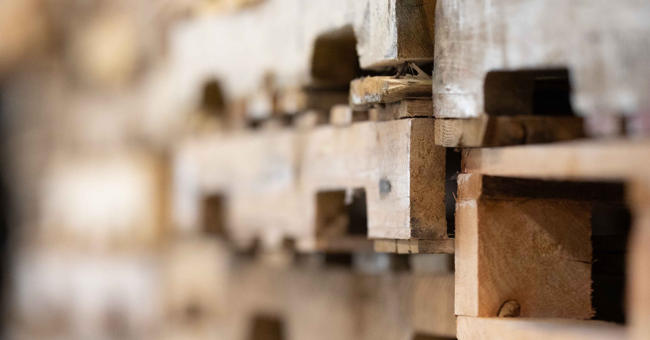 Taking Businesses Zero Waste